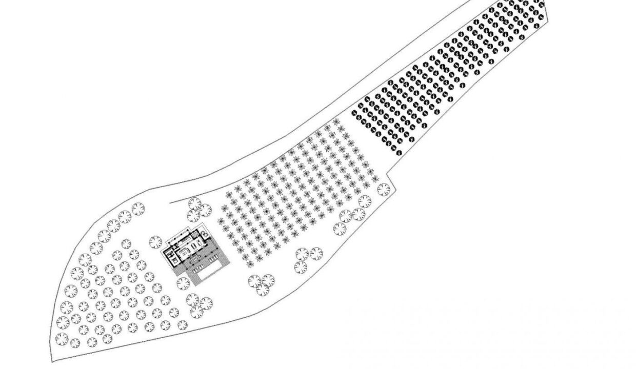 AM-11734DA-6