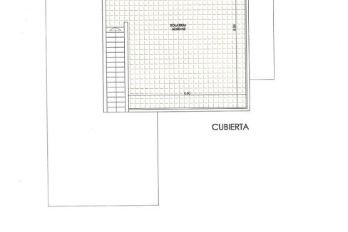 HA-DCN-100-E13-29